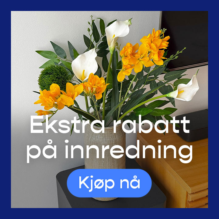 promotion banner