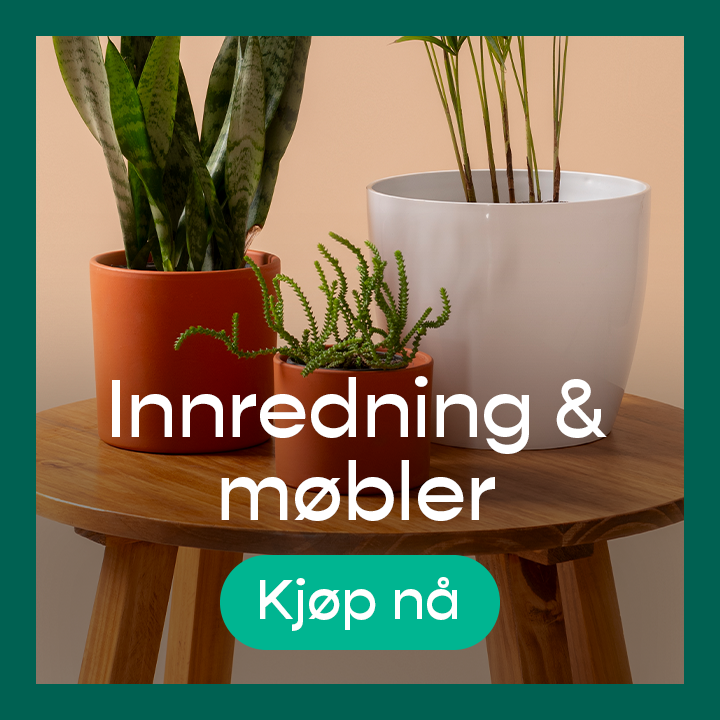promotion banner