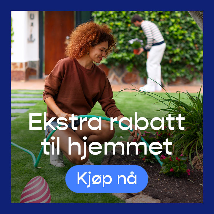 promotion banner