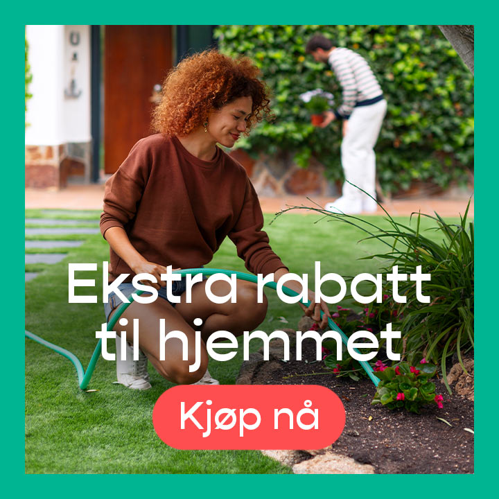 promotion banner