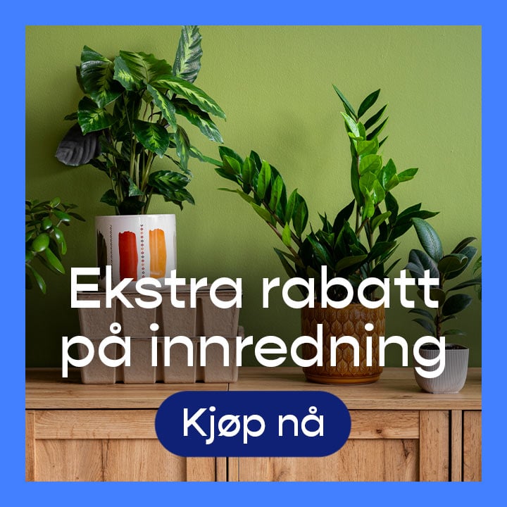 promotion banner