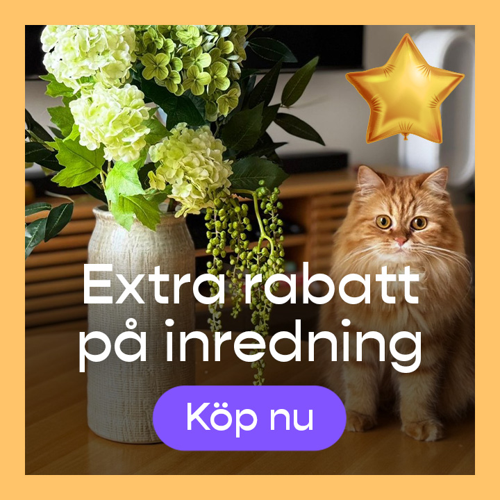 promotion banner