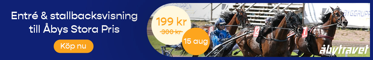 promotion banner